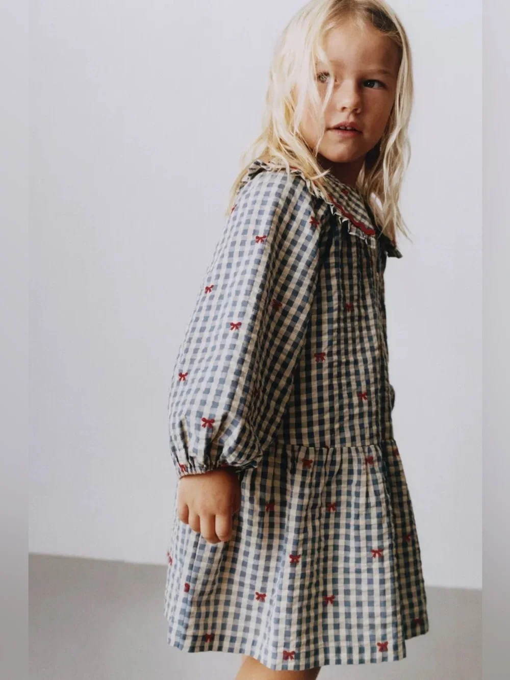 Zara Blue Gingham Dress with Red Bow Embroider